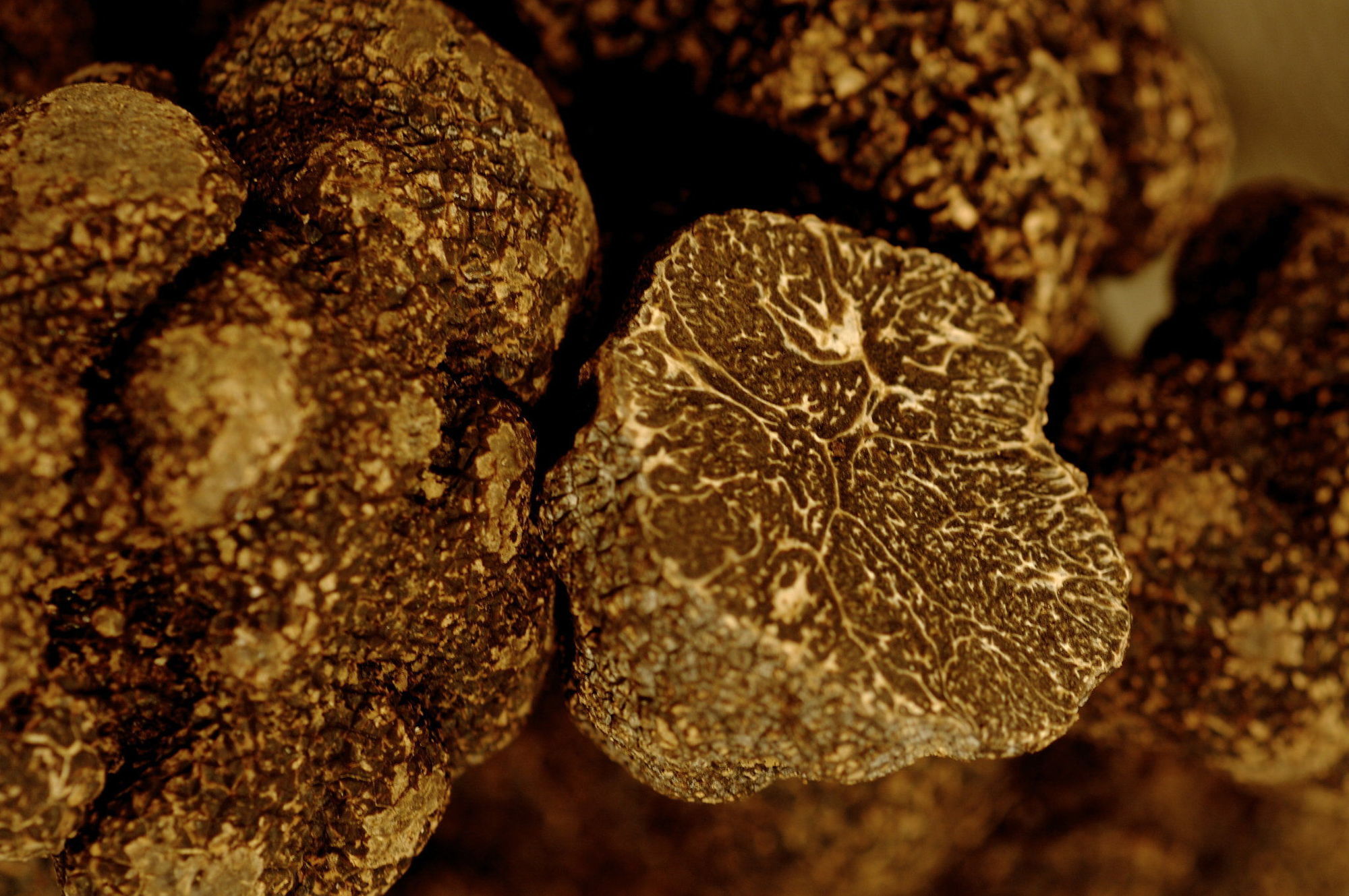 فندق فوغتسبورغفي  Schwarzer Adler المطعم الصورة